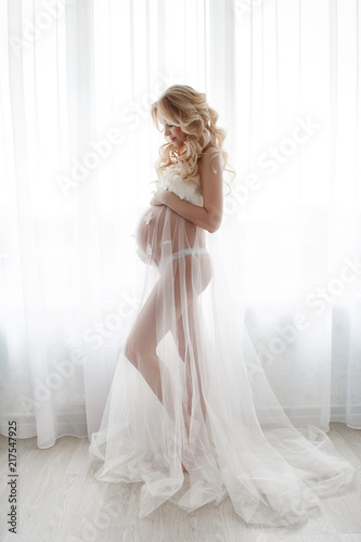 pregnancy, motherhood, people and the concept of waiting - happy pregnant woman in a transparent dress and underwear, posing against the background of a large light window