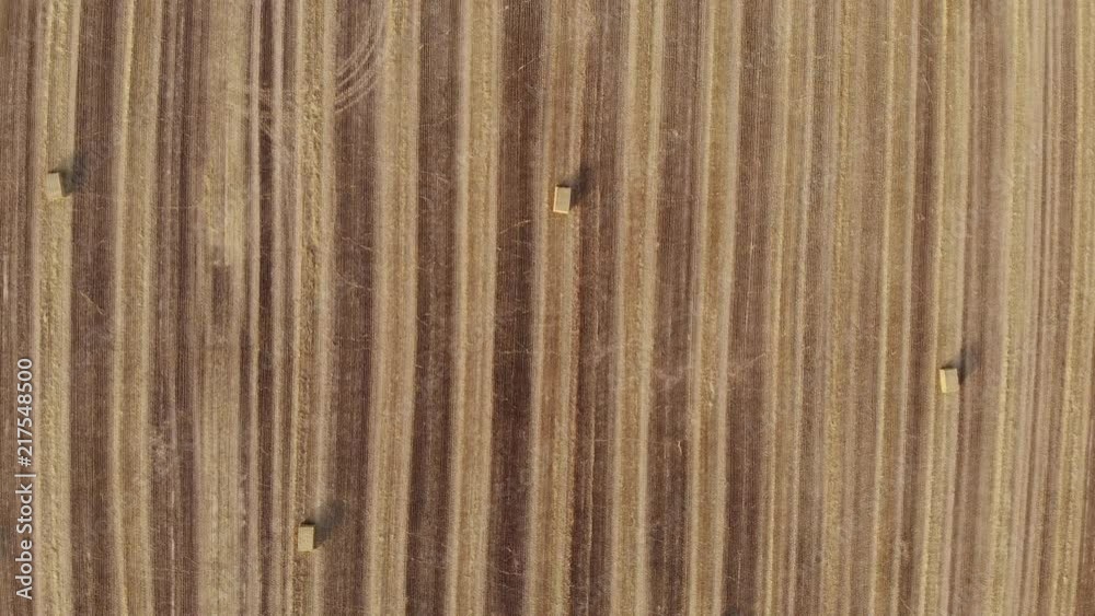 Aerial view on harvest field, square straw bales, view from above, move straight ahead Aerial view on harvest field, square straw bales, view from above, move straight ahead