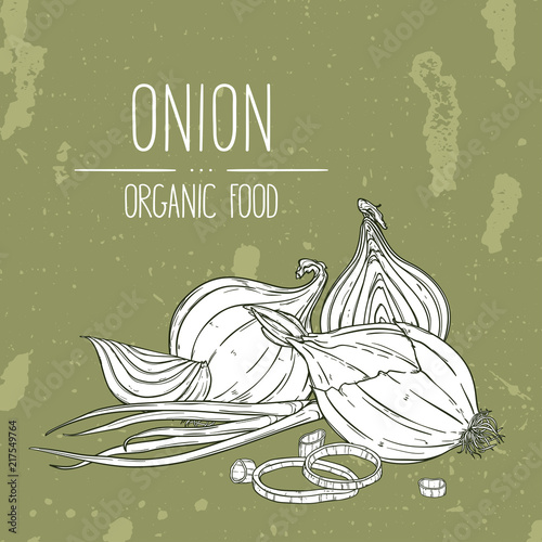 Hand drawn onion, rings, halves, pieces and green onion. Natural vegetable vector sketch illustration.