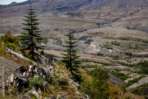 Base of the Mount St Helens Volcano in Washington State Pacific Northwest photo