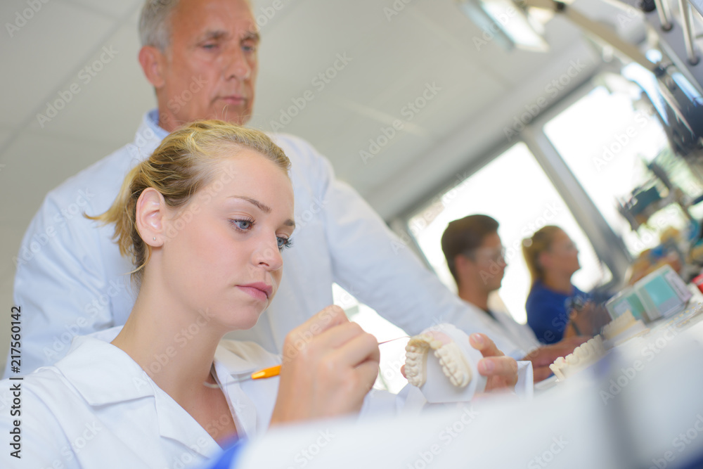 Fototapeta premium Dentist student