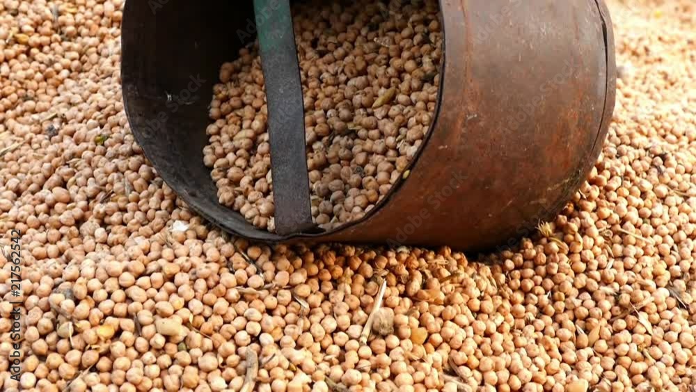 agricultural products in turkey measure equal to 8 kg metal cans.
agricultural products in turkey measure equal to 8 kg metal cans.