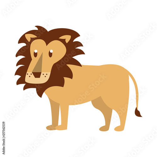 Lion wild animal vector illustration graphic design
