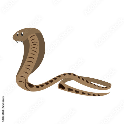 Cobra african snake vector illustration graphic design