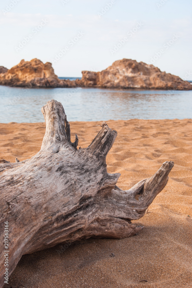 Trunk on the red sand of Pregonda cove