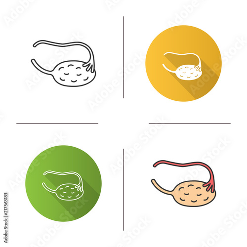 Ovary and fallopian tube icon