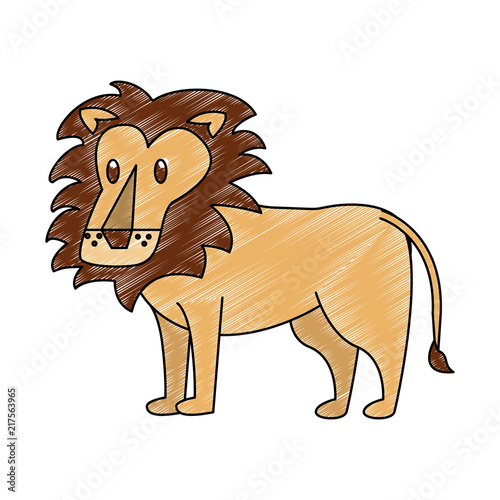 Lion wild animal vector illustration graphic design