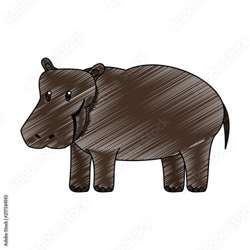 Hippo wild animal vector illustration graphic design