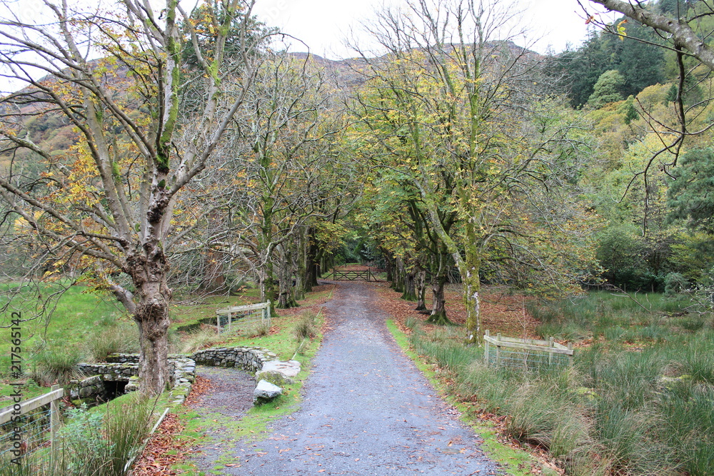 Fototapeta premium Nature Pass