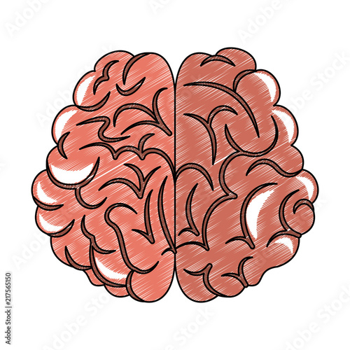 Human brain cartoon vector illustration graphic design