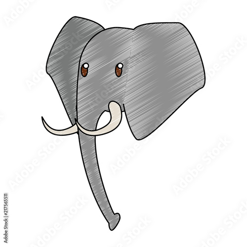 Elephant wild animal vector illustration graphic design