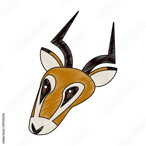 Antelope wild animal vector illustration graphic design