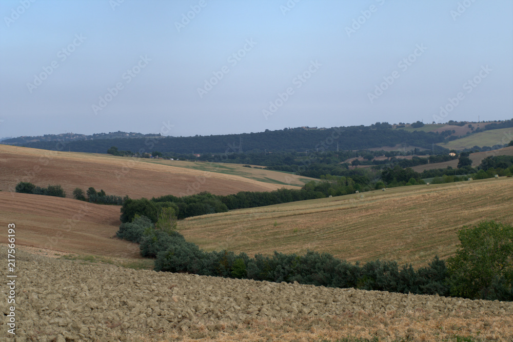 hill,italy,landscape,panorama,field,view,countryside,rural,summer,tree