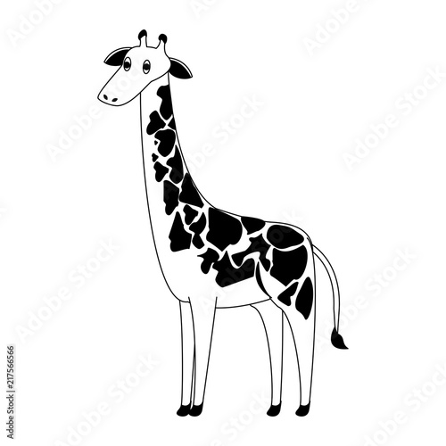 Giraffe wild animal vector illustration graphic design