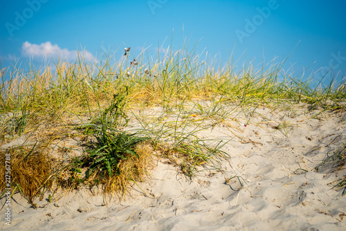 beach dune with grass and sand on a hot sunny day in northern germany