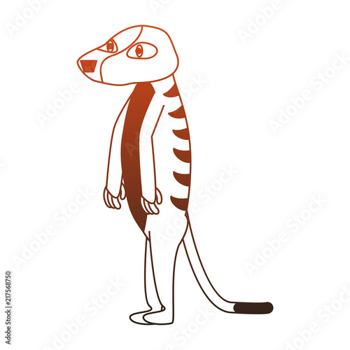 Meerkat wild animal cartoon vector illustration graphic design