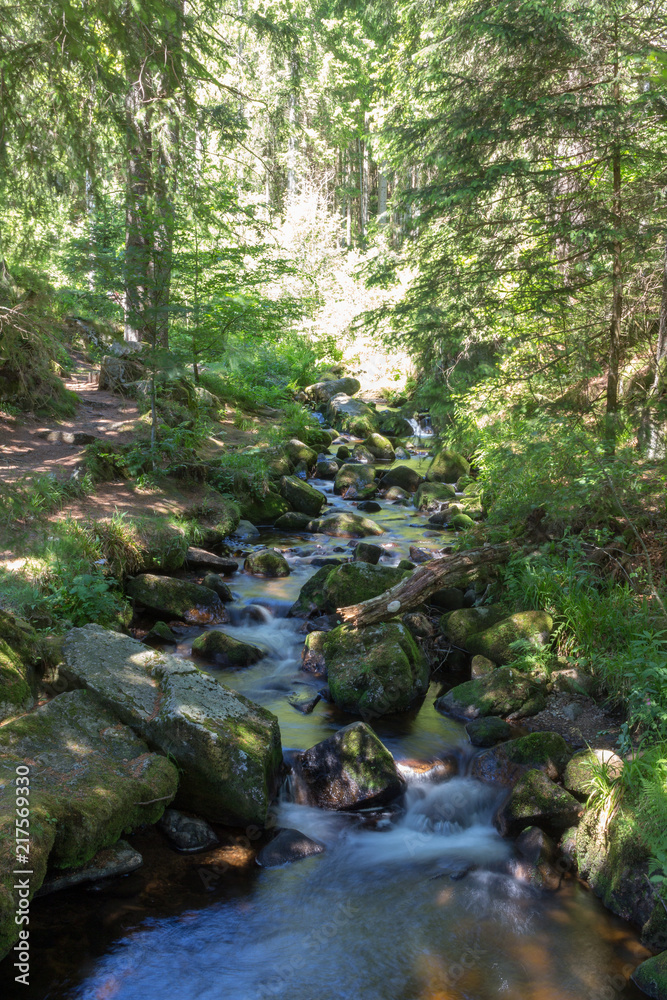 Kleiner Gebirgsbach im Wald