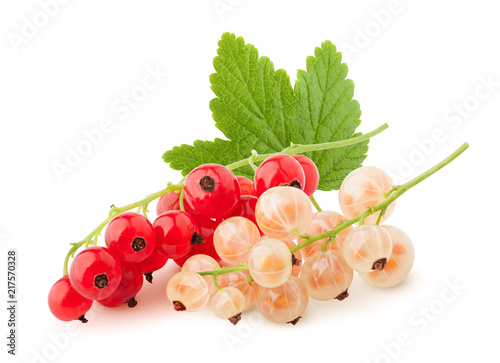 white and red currant isolated on white background, clipping path, full depth of field