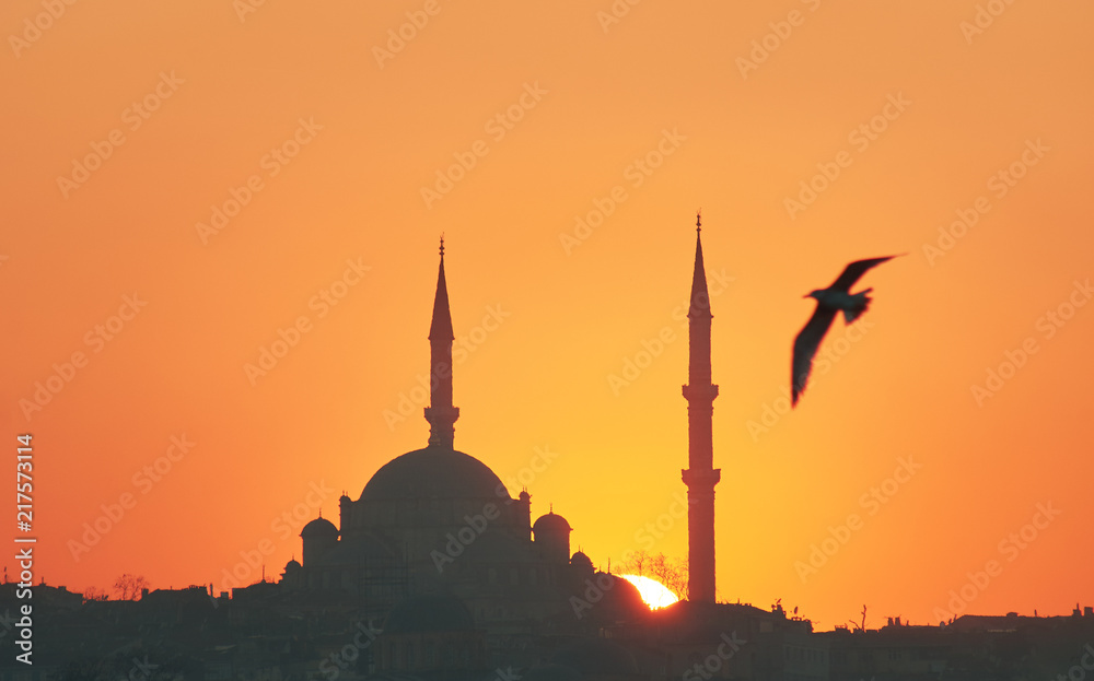Turquie - Istanbul - Minaret ensoleillé