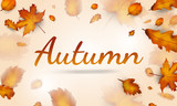 Autumn leaves sale banner for autumn season, online shopping promo, autumn leaves background. Vector illustration