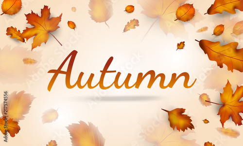 Autumn leaves sale banner for autumn season  online shopping promo  autumn leaves background. Vector illustration
