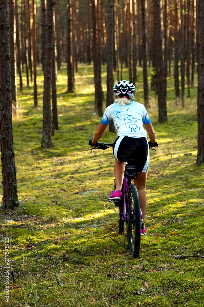 Fototapeta premium Cycling in the forest