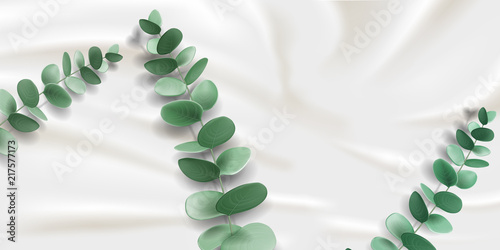 Branch of eucalyptus with leaves on satin fabric or jade, friendship lucky tree twig on realistic silky textile. Eucalypti stem. Botany and herbal, medical plant, nature and organic theme