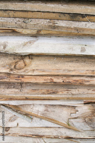 wood tree wall background