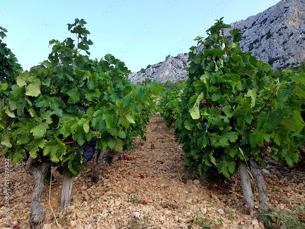 Chorwacja wyspa Hvar Chorwacja wyspa Hvar