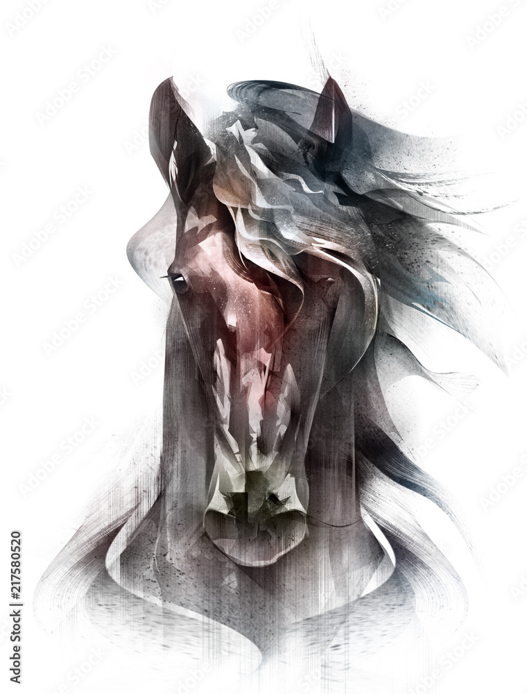 Naklejka malowany kolorowy koń portret na białym tle