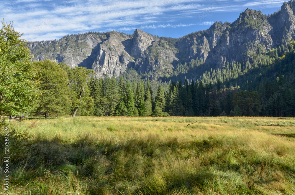 El Capitan meadow in Yosemite valley surrounded by pine forest and granite mountains Yosemite National Park, California, USA