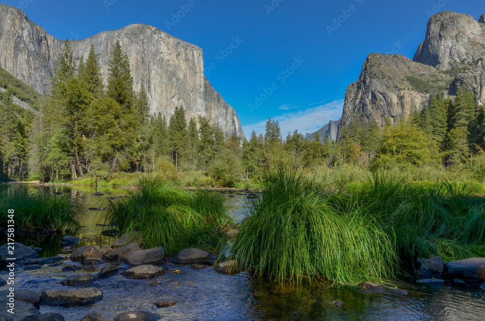grass and boulders on Merced river in Yosemite valley Yosemite National Park, California, USA