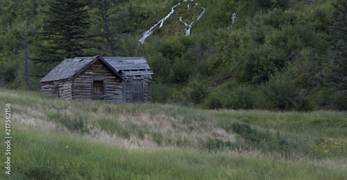 Homestead House