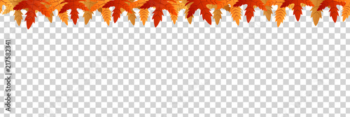 Vector realistic isolated red, yellow and orange maple and oak falling leaves seamless pattern border for decoration and covering. Concept of Happy Autumn.