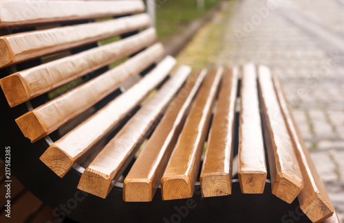 garden bench in the city park