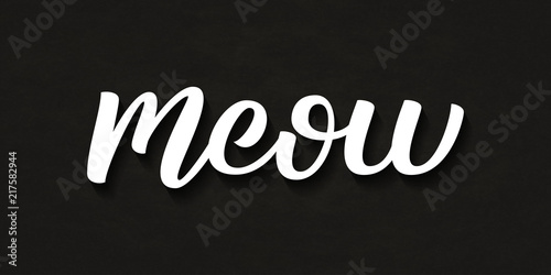 Vector isolated handwritten lettering Meow logo with grunge texture for decoration and covering on the dark background. Concept of cat quote and pet shop.
