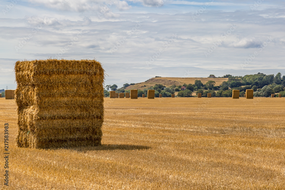 Haystacks at Harvest Time