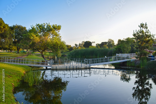 Reflections of Solitude at the Lake