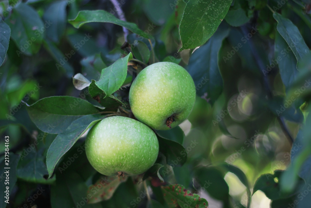 green apples