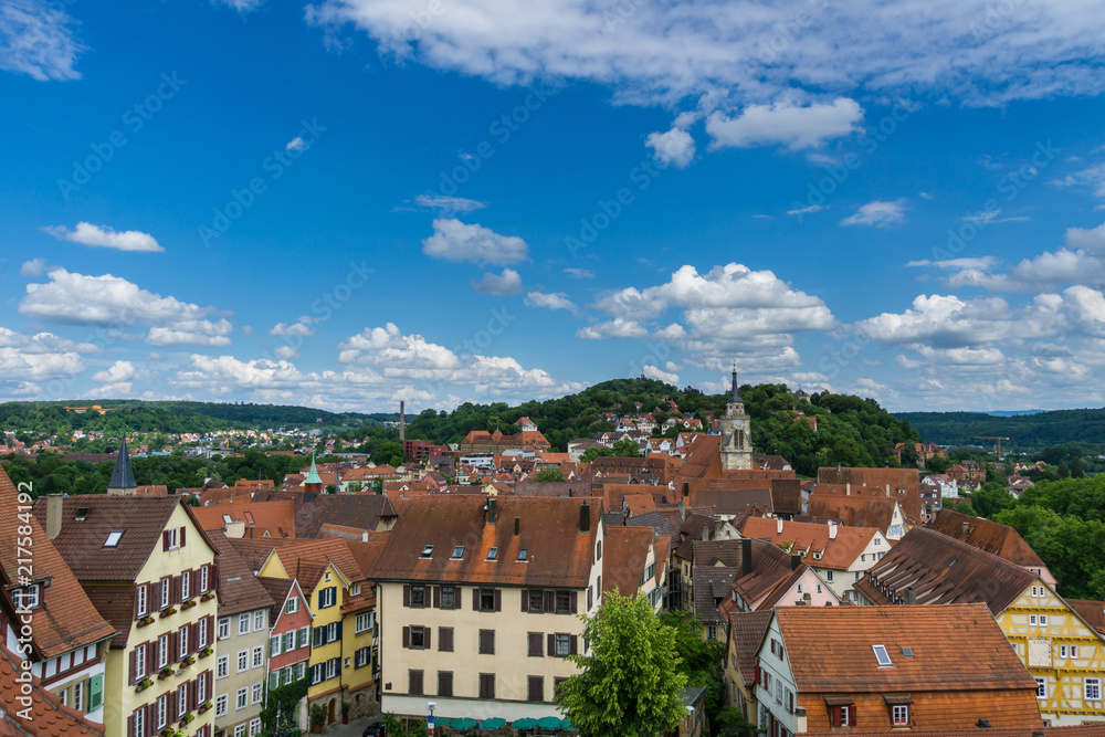 Germany, Above the roofs of Tuebingen old town