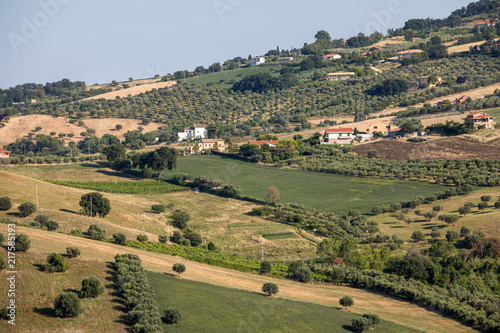 Panoramic view of olive groves and farms on rolling hills of Abruzzo