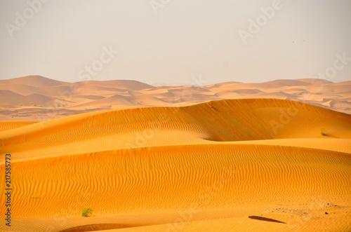 high desert....