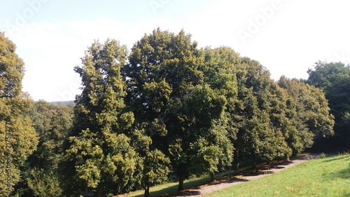 nature 2018
