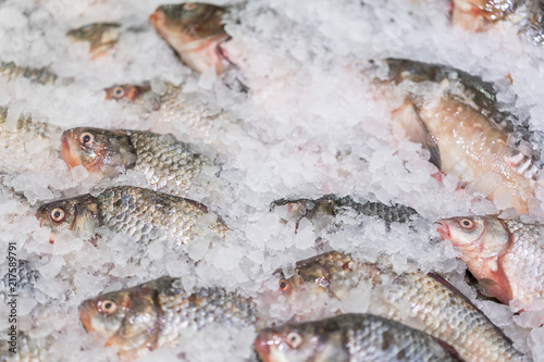 Fresh fish on ice in a supermarket. Seafood on ice at the fish market