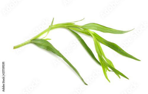 Tarragon leaves ( Artemisia dracunculus ) isolated on white background