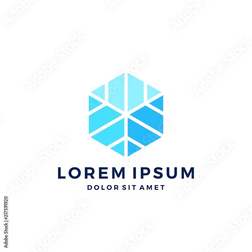 ice block snowflakes logo icon vector illustration