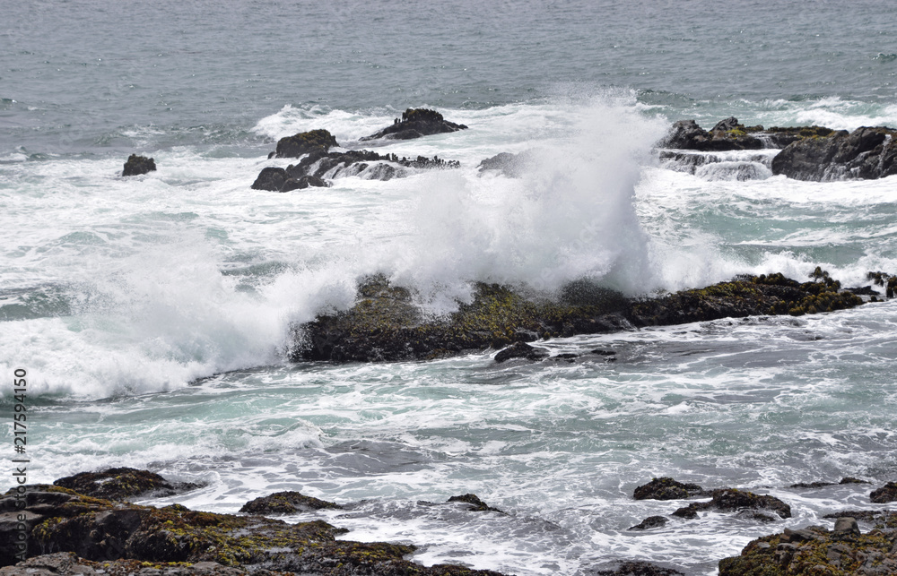 Waves crashing in high surf on the N. California coast