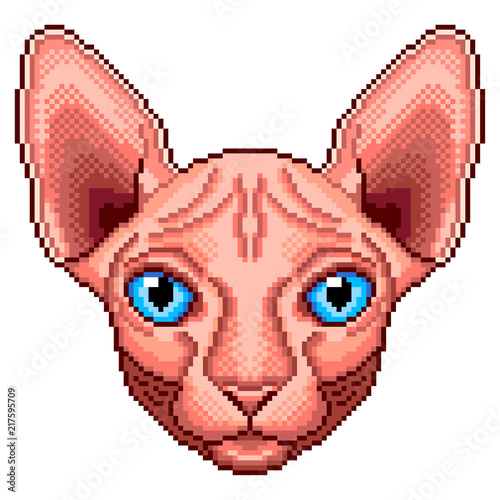 Pixel sphinx cat portrait detailed isolated vector