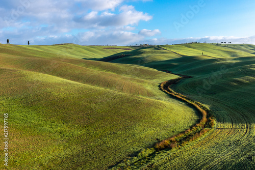 Green rolling hills, Tuscany, Italy