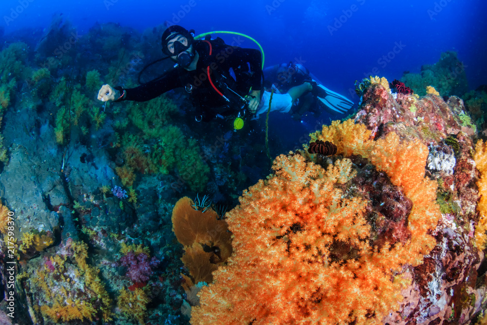 Fototapeta premium SCUBA diver exploring a colorful, healthy tropical coral reef
